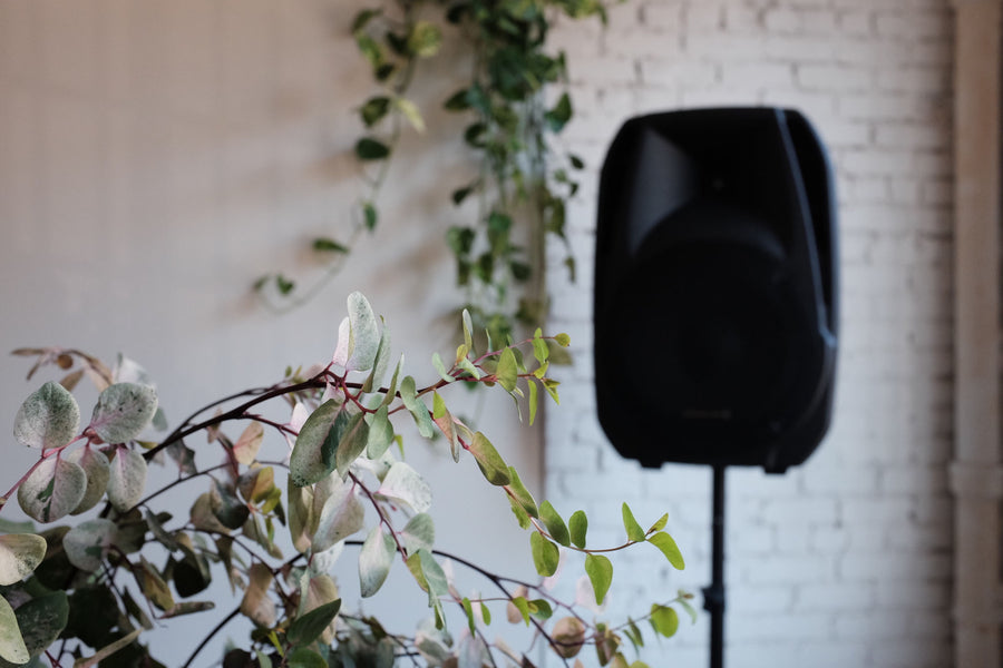 Flowers bloom in the 3sixteen store, with a loudspeaker in the background out of focus.