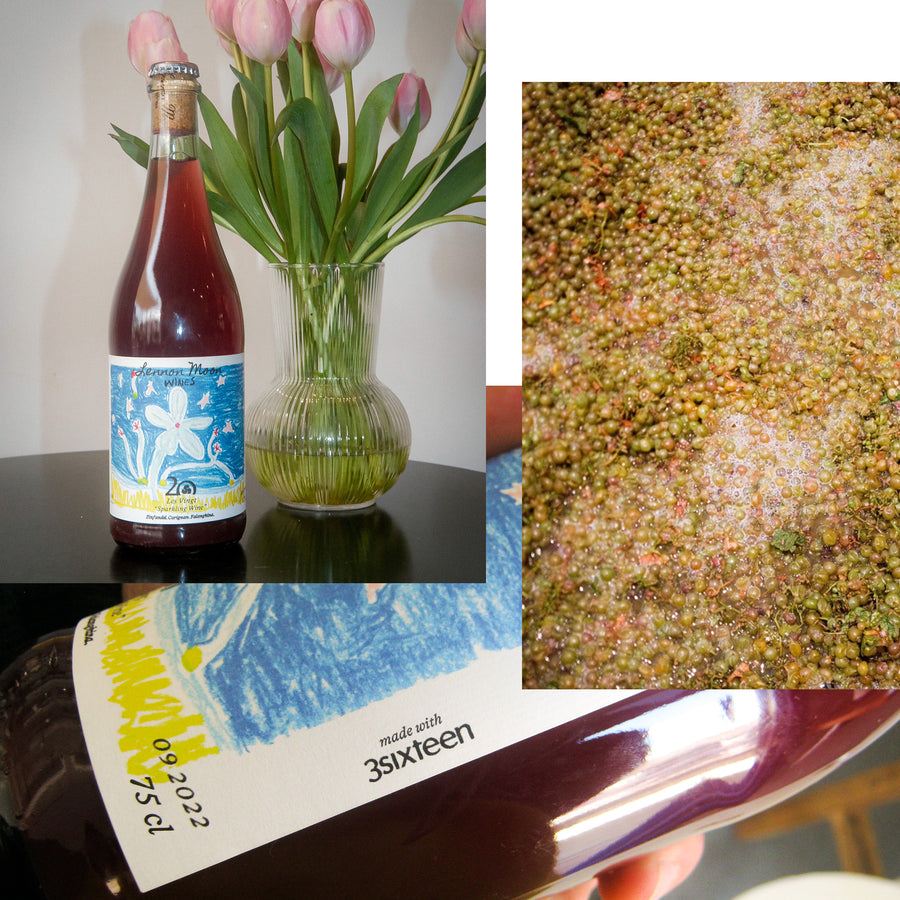 A collage of images of a bottle of wine along with a photo of wine grapes.