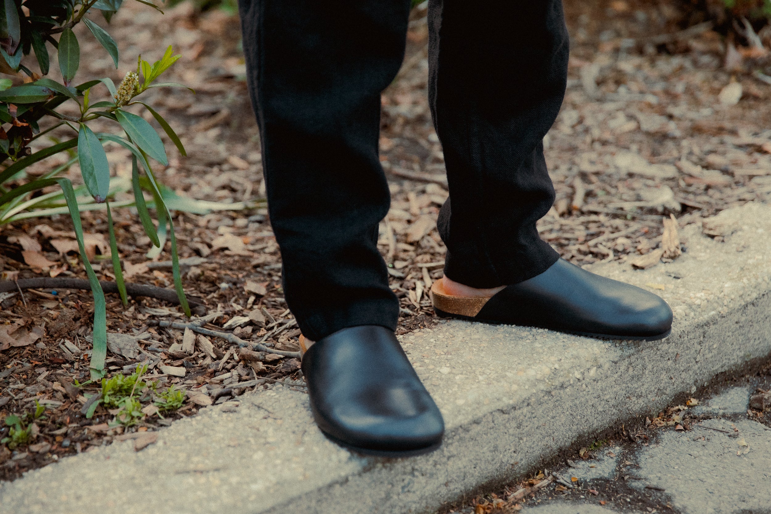 A pair of black mules standing on a curb.
