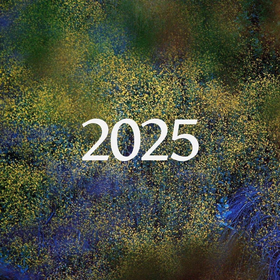 A collage of colors with 2025 written on it.