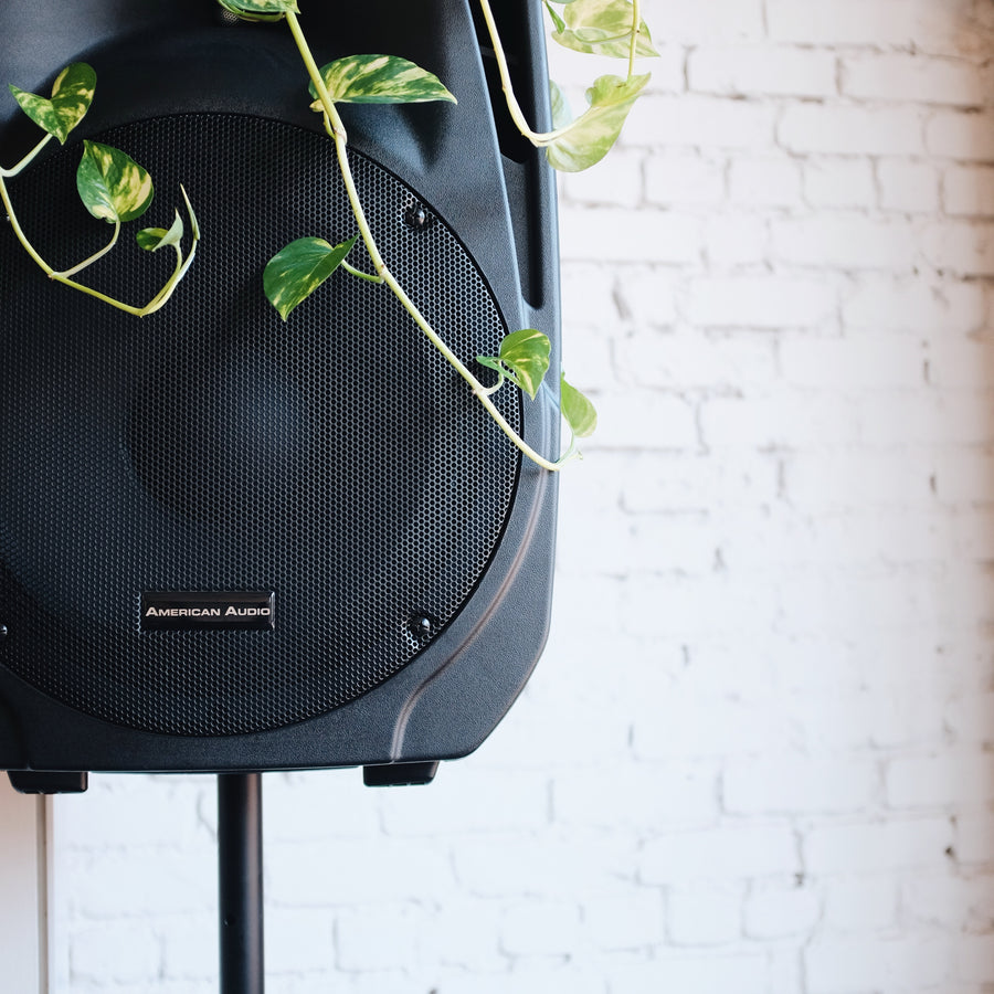 Summer Breaks: 08.25.18.