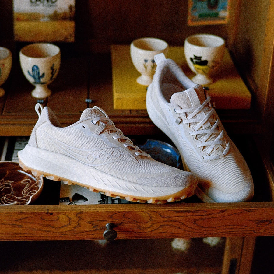 A pair of shoes sit on a wooden shelf in a bookcase.