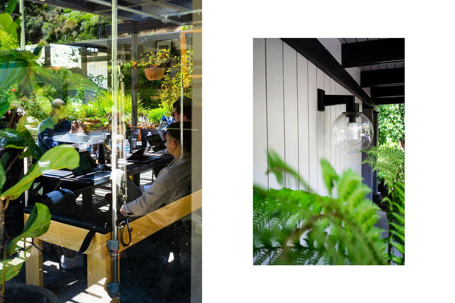 Green shrubs and bushes surround the house.