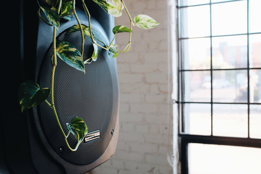 A loudspeaker in 3sixteen's store with a vine of greenery growing down.