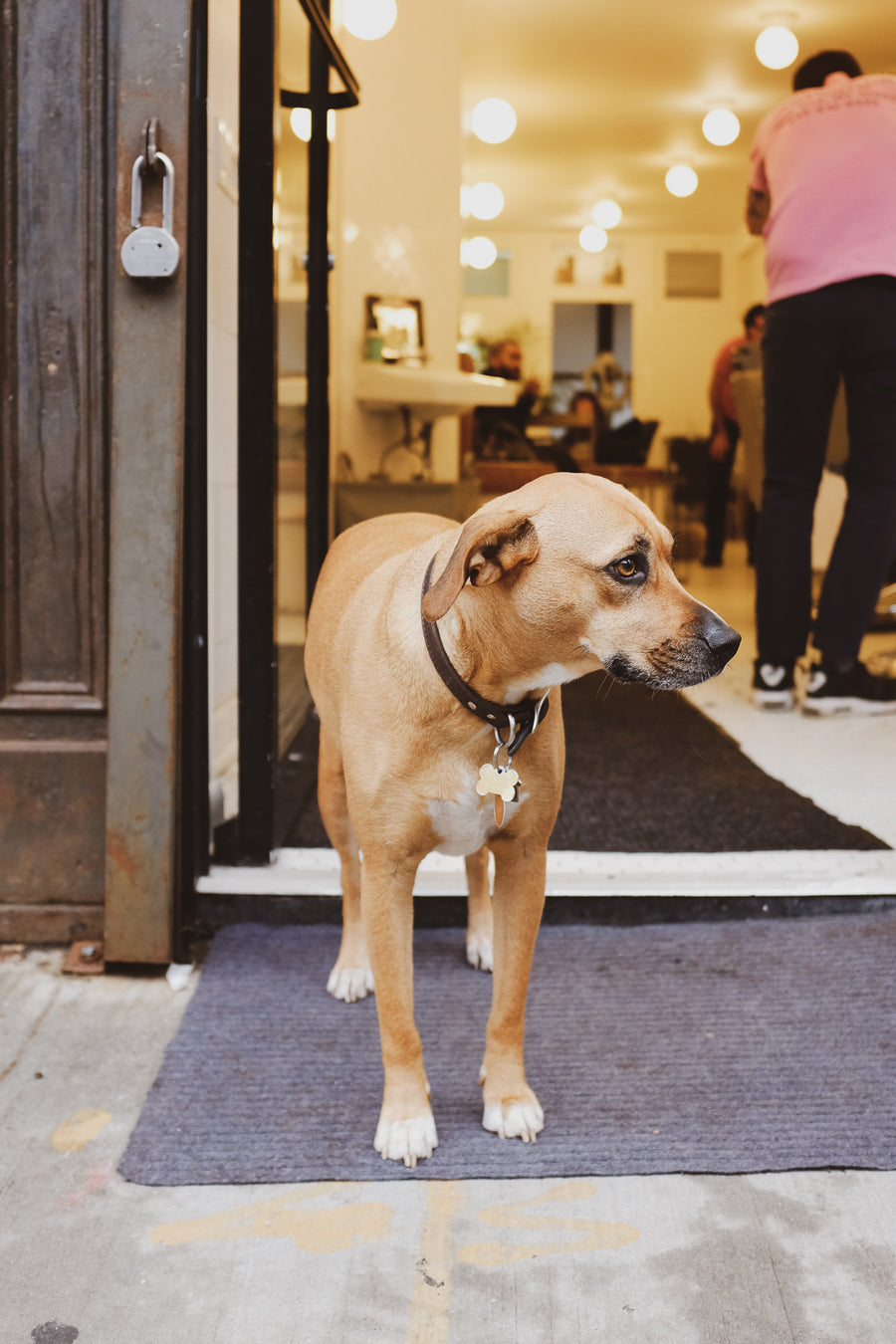 Local Guide: Mildred New York.