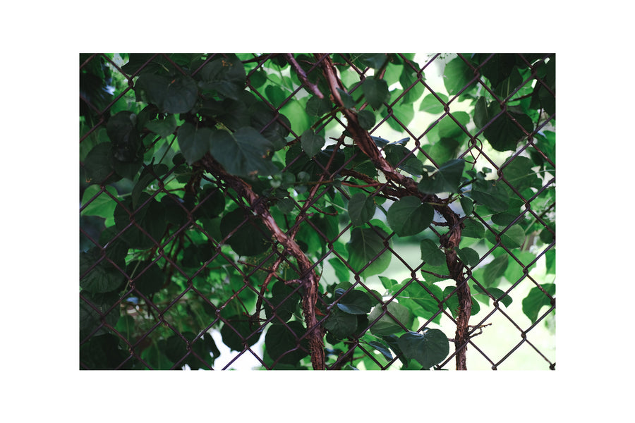 Indigo Garment Dye Pack.